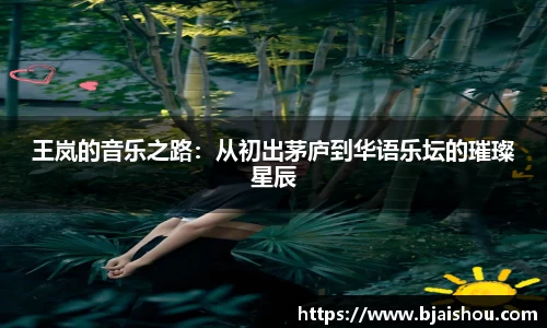 王岚的音乐之路：从初出茅庐到华语乐坛的璀璨星辰